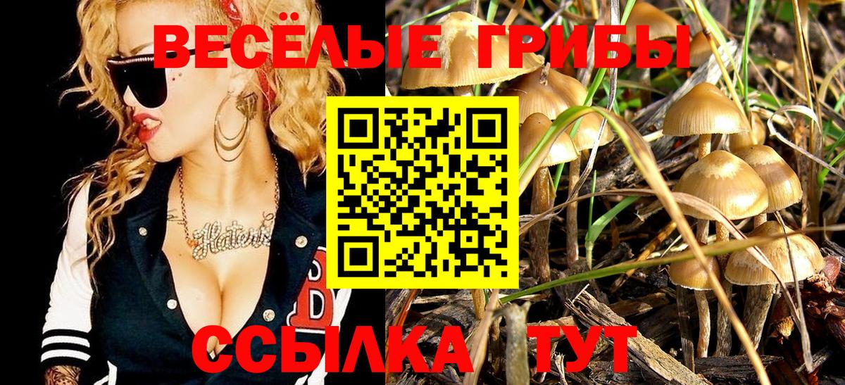 Псилоцибиновые грибы GOLDEN TEACHER Губкинский