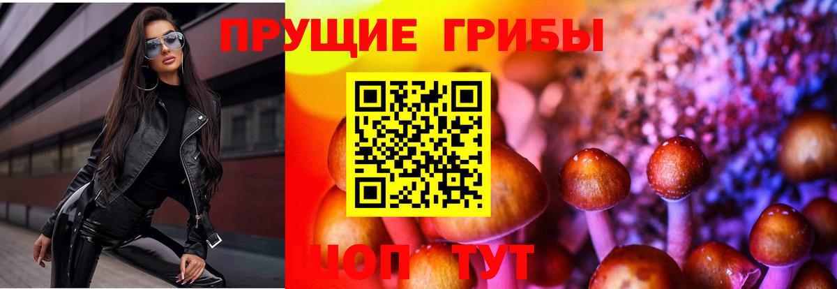 Галлюциногенные грибы ЛСД  Вход с VPN  Галлюциногенные грибы мицелий  Губкинский 